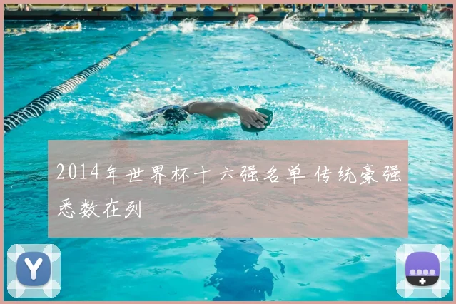 2014年世界杯十六强名单 传统豪强悉数在列