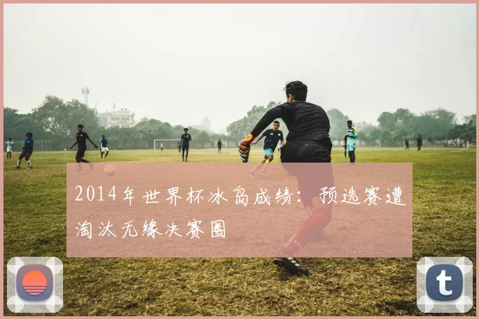 2014年世界杯冰岛成绩:预选赛遭淘汰无缘决赛圈