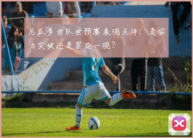 厄瓜多尔队世预赛表现点评：是实力突破还是昙花一现？