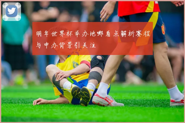 明年世界杯举办地哪看点解析赛程与申办背景引关注