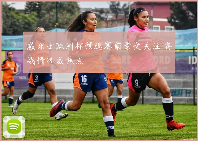 威尔士欧洲杯预选赛前景受关注 备战情况成焦点