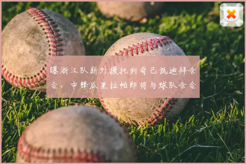 曝浙江队新外援托利奇已抵迪拜会合，中锋瓜里拉帕即将与球队会合_比赛_1_亚冠