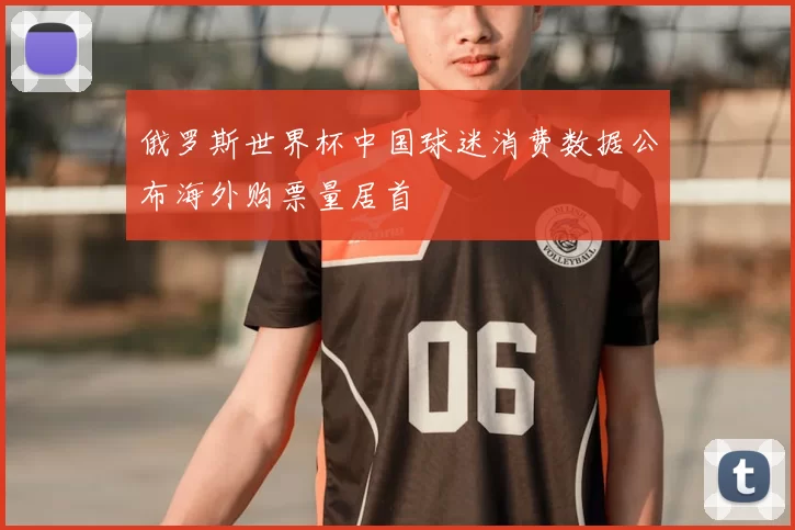 俄罗斯世界杯中国球迷消费数据公布海外购票量居首