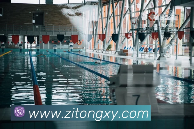 世界杯足球赛官网平台生态图