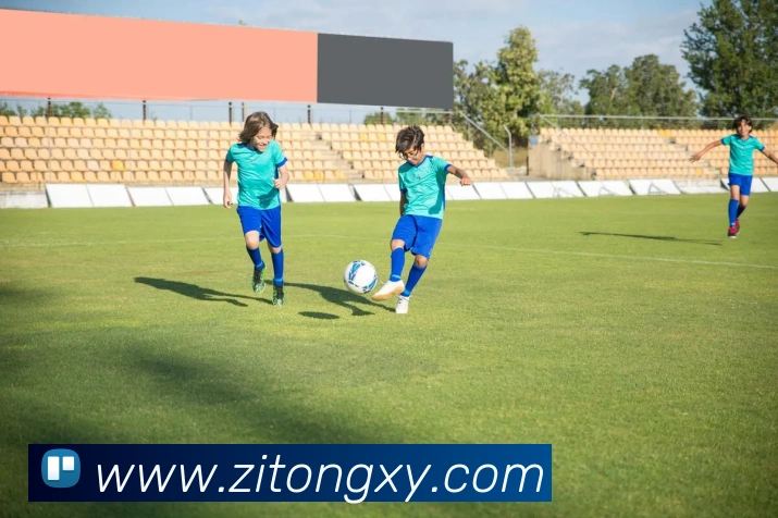 未来规划